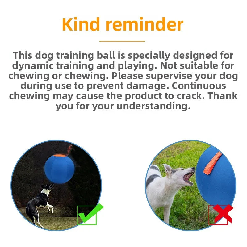DogEase™ Ball