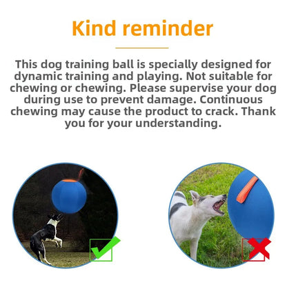 DogEase™ Ball