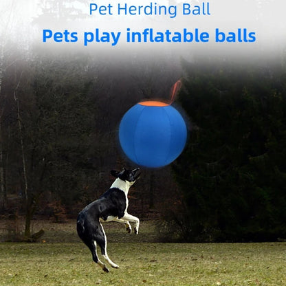 DogEase™ Ball