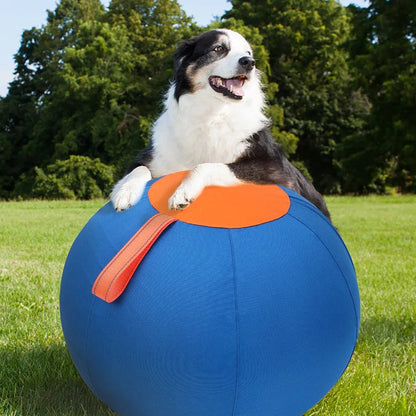 DogEase™ Ball
