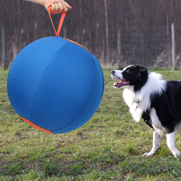 DogEase™ Ball